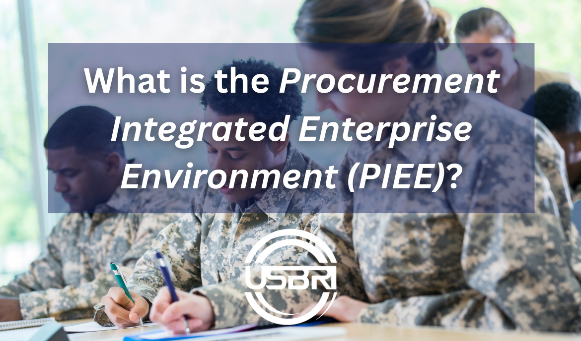 What is the Procurement Integrated Enterprise Environment (PIEE)?